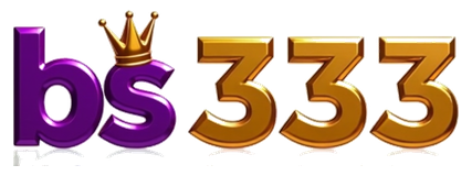 bs 333